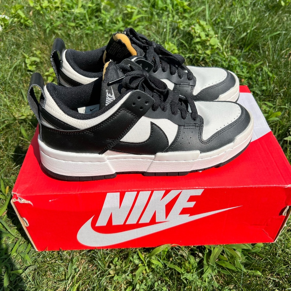 Women's Nike Dunk Low Disrupt